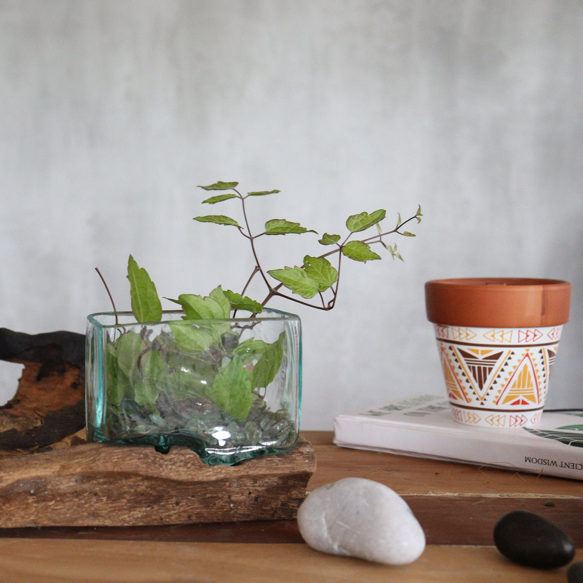 Small Molten Glass Decorative Bowl on Wood Stand product image 5, showing the distinctive design and materials