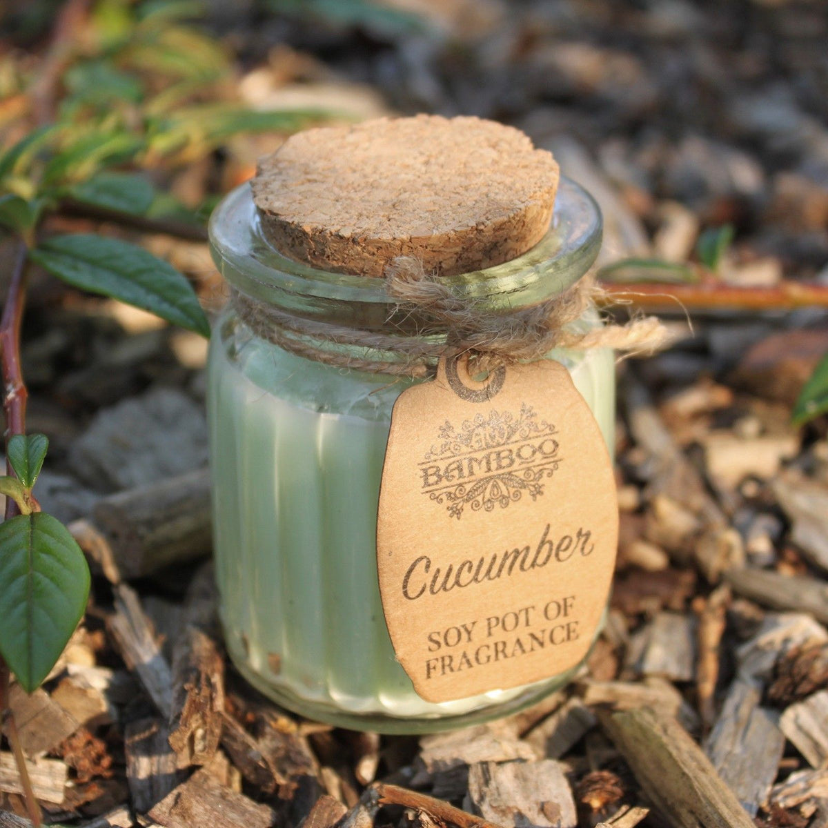 Cucumber Scented Soy Wax Pot Candle, showing the distinctive design – scented soy candle product image 3
