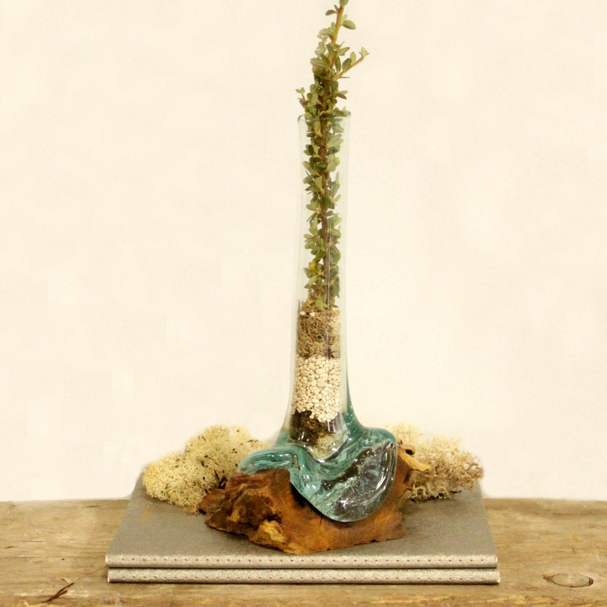 Sculptural Molten Glass Vase on Wood Base, Handcrafted, showing the distinctive design – molten glass home decor product image 7