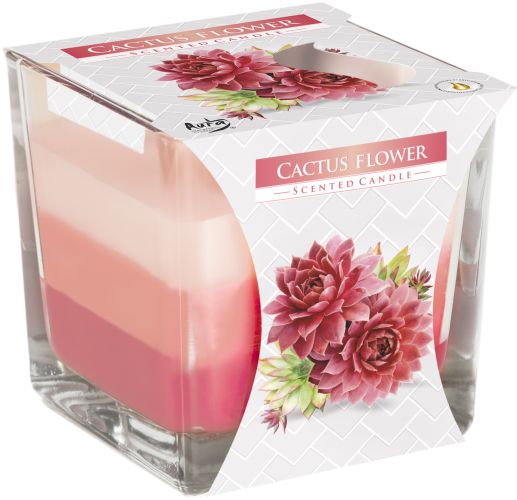 Rainbow Glass Jar Candle, Cactus flower, showing the distinctive design – rainbow jar candle product image 1