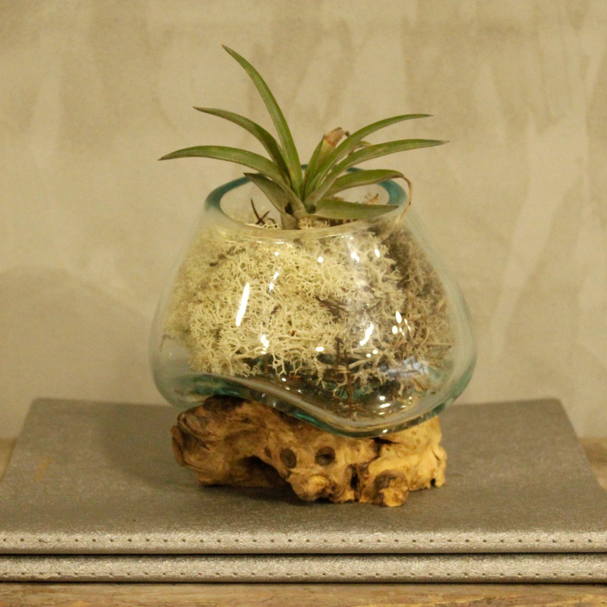 Small Molten Glass Decorative Bowl on Natural Wood Base product image 6, showing the distinctive design and materials