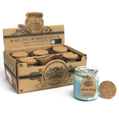 Winter Berry Scented Soy Wax Pot Candle, showing the distinctive design – scented soy candle product image 4