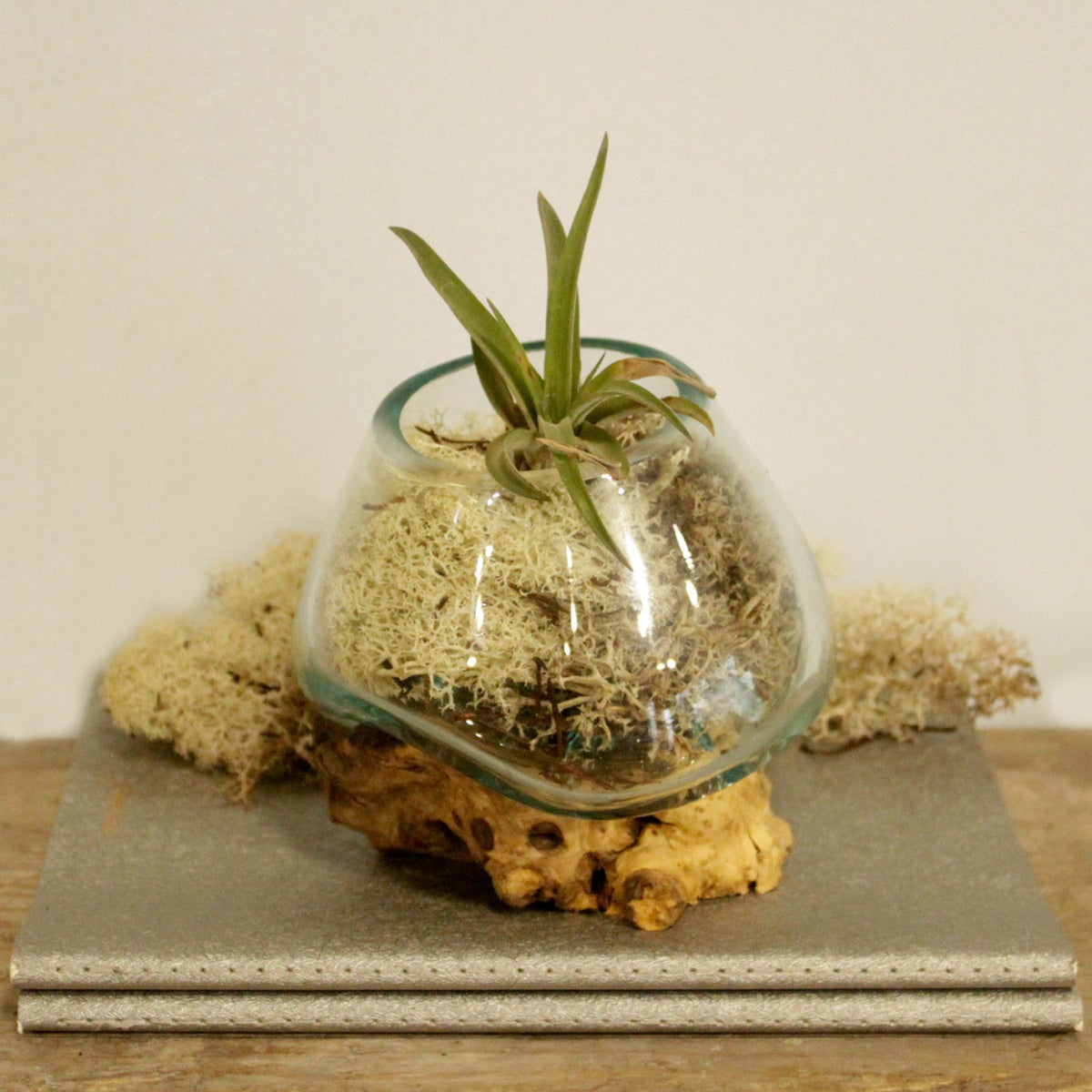 Small Molten Glass Decorative Bowl on Natural Wood Base product image 5, showing the distinctive design and materials