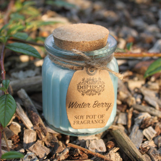 Winter Berry Scented Soy Wax Pot Candle, showing the distinctive design – scented soy candle product image 1