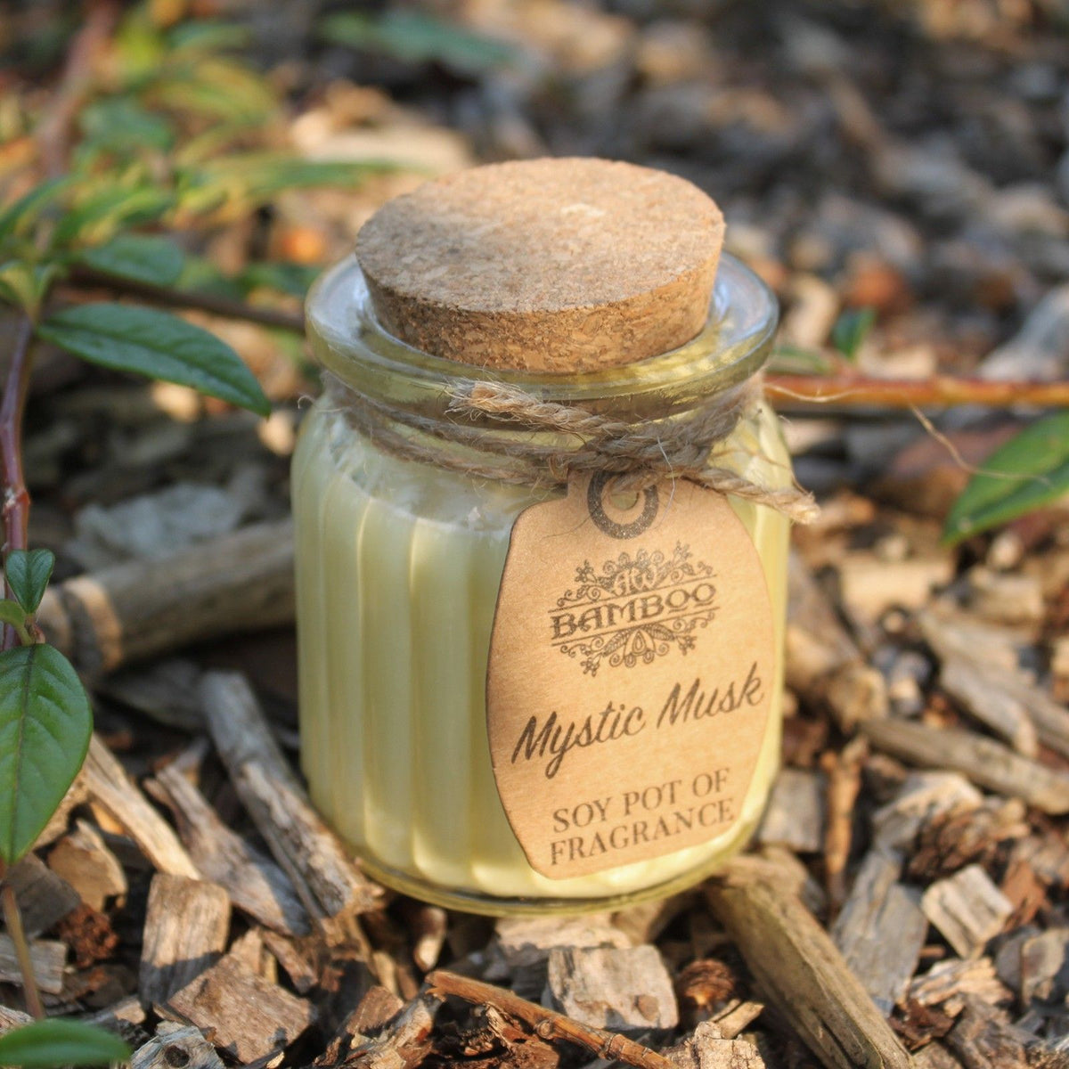 Mystic Musk Scented Soy Wax Pot Candle, showing the distinctive design – scented soy candle product image 1