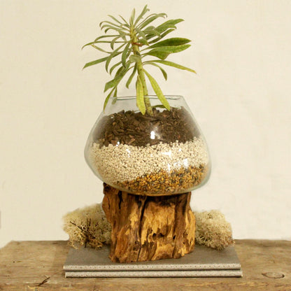 Large Molten Glass Decorative Bowl on Natural Wood Base product image 7, showing the distinctive design and materials